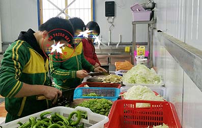 挑食的孩子教育学校