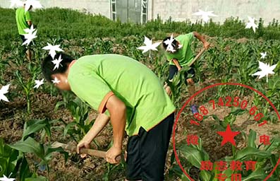 厌学孩子劳动体验学校