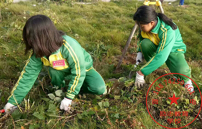 厌学少女通过劳动体验后想读书