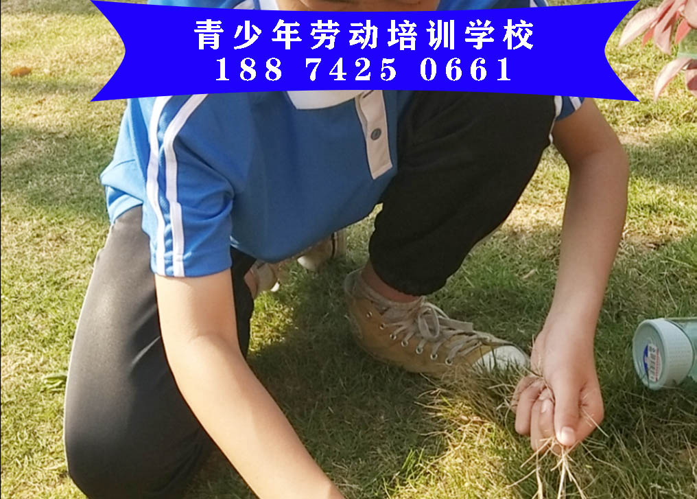 网瘾孩子劳动改造学校