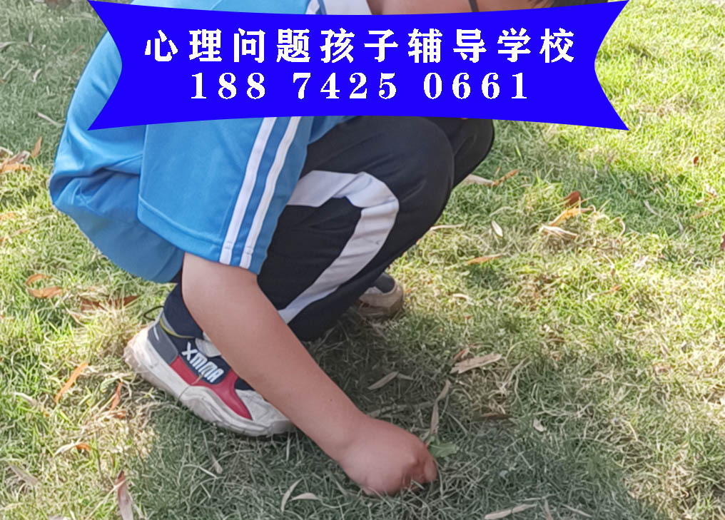 小孩子沉迷手机游戏怎么办，送去哪里学校改造合适