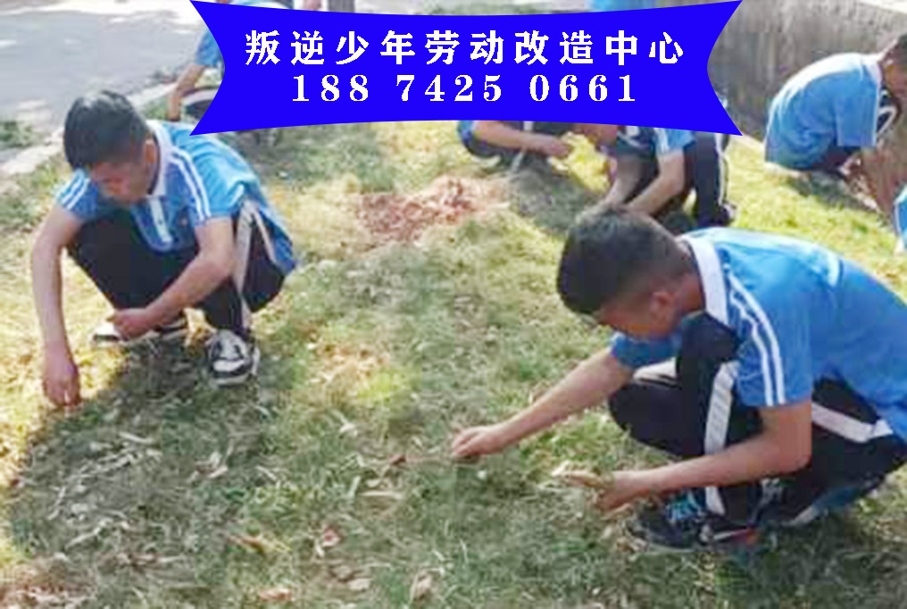 小孩子懒惰不做事怎么办 青少年专门改造学校18874250661