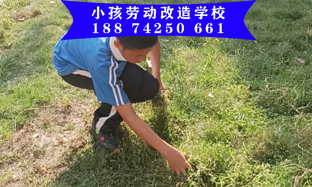 小孩子强制教育学校