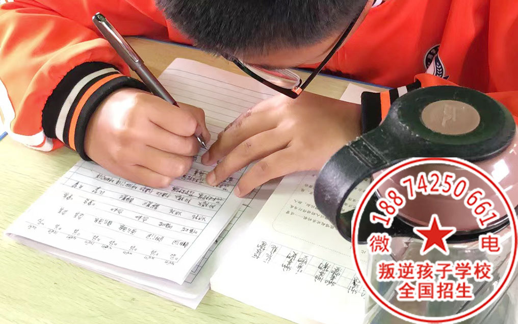 叛逆期小孩教育学校