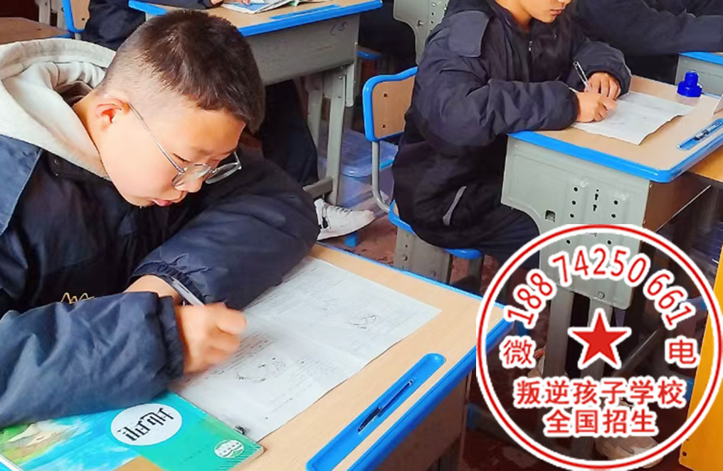 解决青少年心理健康的学校