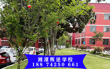 少年叛逆教育学校