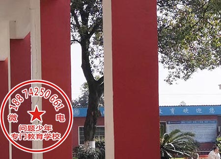 青少年成长辅导学校 青少年成长辅导学校