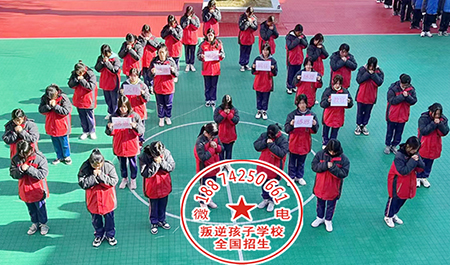 正规的青少年教育学校