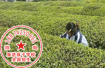 小孩目无他人怎么教育